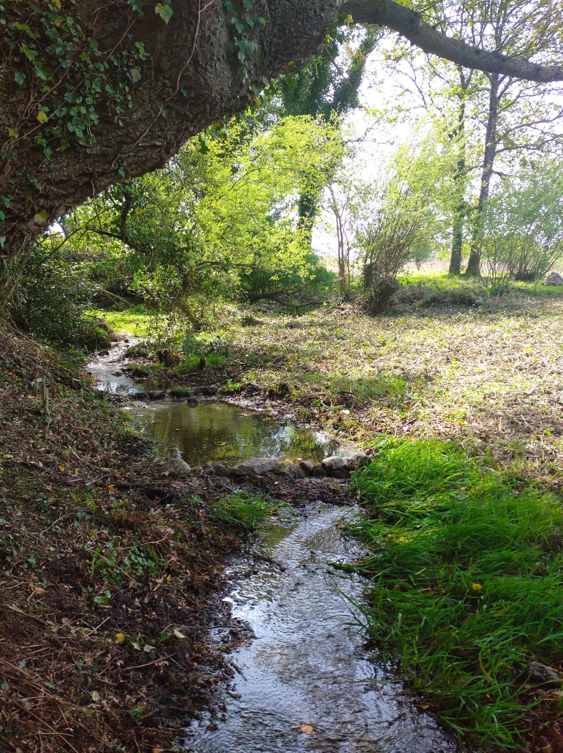 IMG_20210503_162840_1