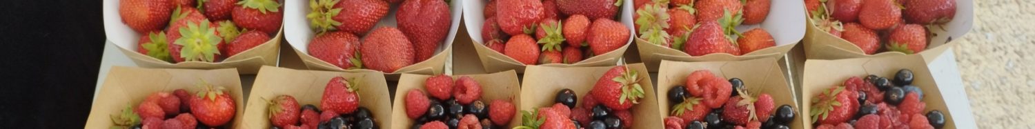 IMG_20230627_160011 – Copie